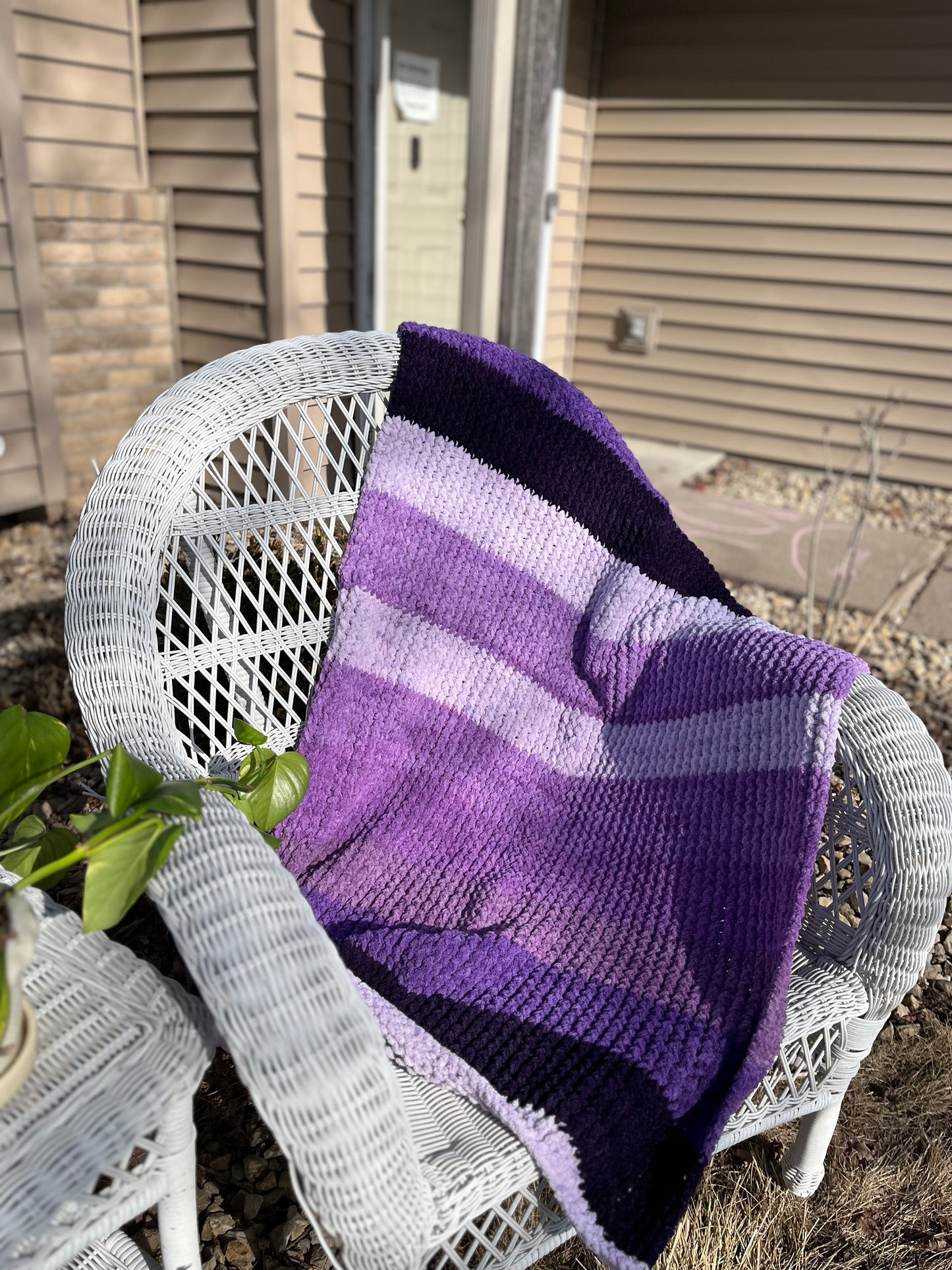 Purple Stripes